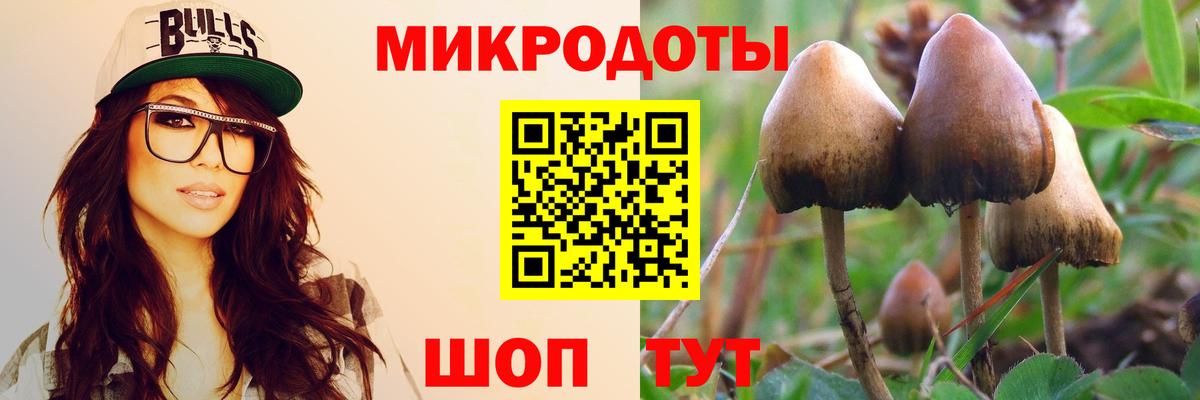 Белогорск  Псилоцибиновые грибы ЛСД  как найти наркотики  Псилоцибиновые грибы Psilocybe  Вход с VPN 